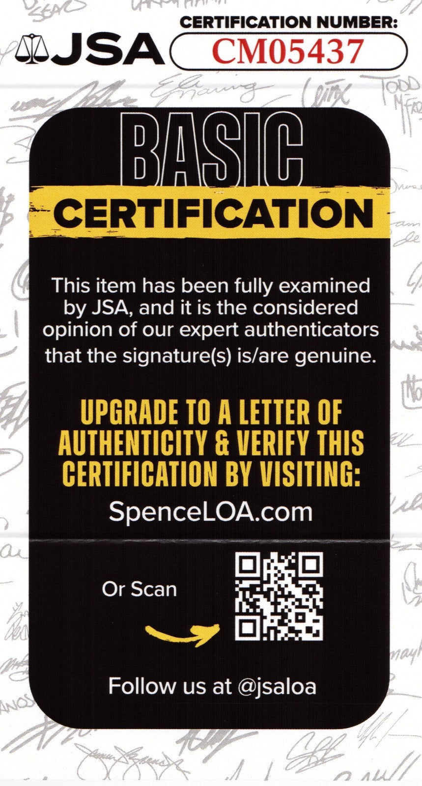 Mike Macdonald signed Seattle Seahawks 8x10 photo autographed #2 JSA