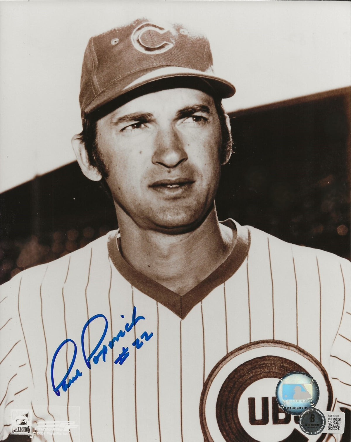 Paul Popovich signed Chicago Cubs 8x10 photo autographed Beckett COA