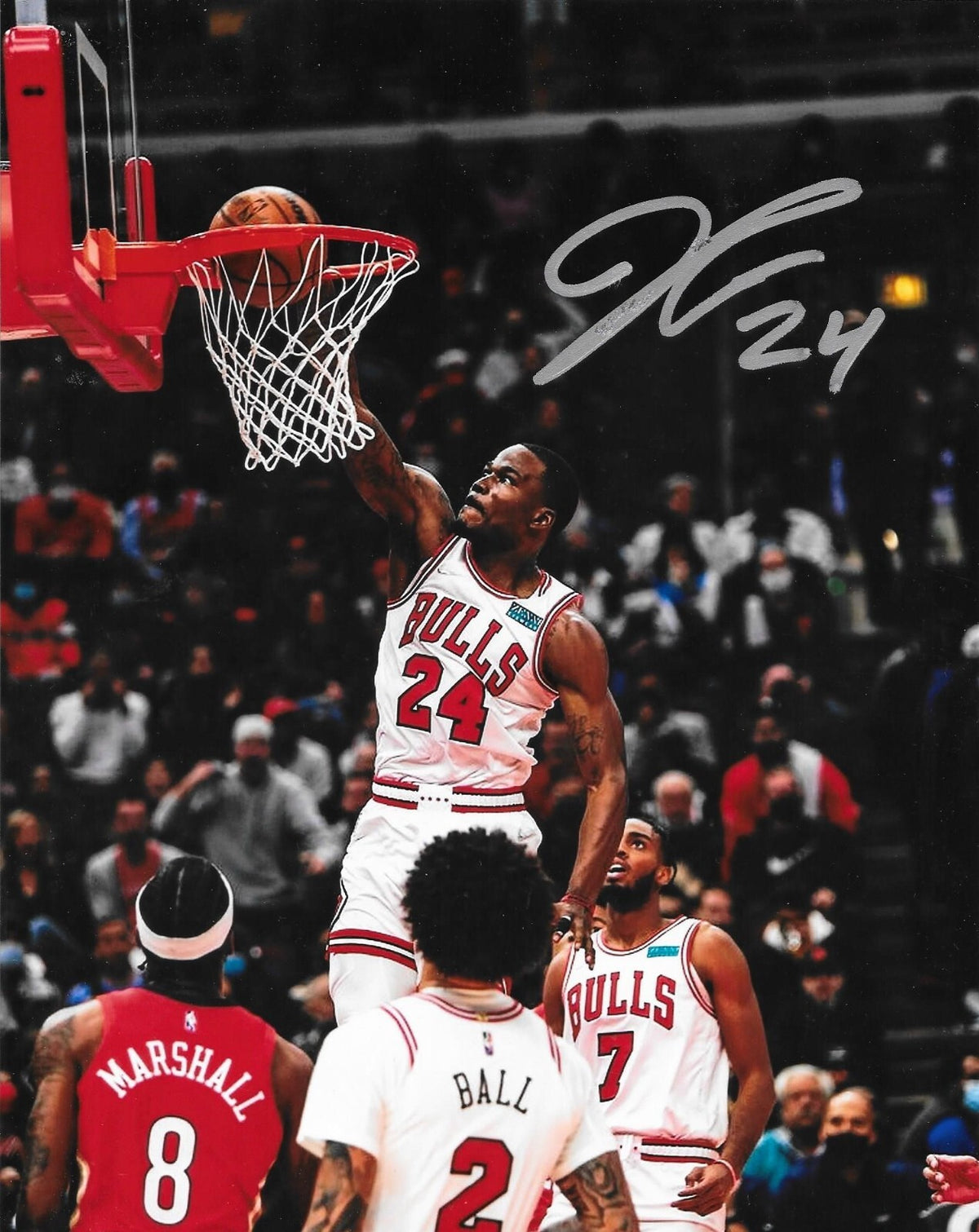 Javonte Green signed Chicago Bulls 8x10 photo autographed 4