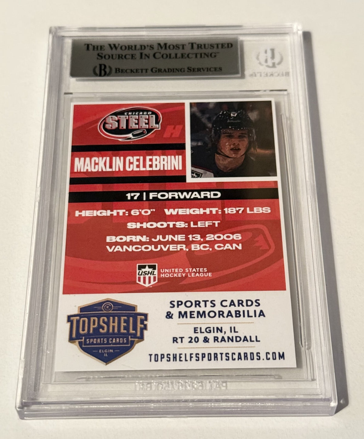 Macklin Celebrini Sharks signed Chicago Steel #17 Rookie Card RC Beckett