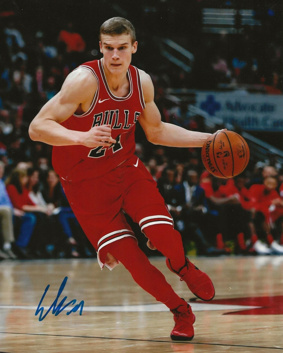 Lauri Markkanen signed Chicago Bulls 8x10 photo autographed