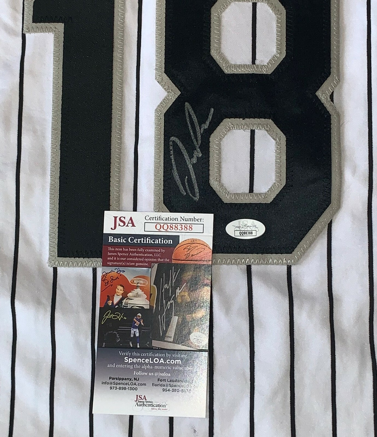 Daniel Palka signed Chicago White Sox jersey autographed JSA
