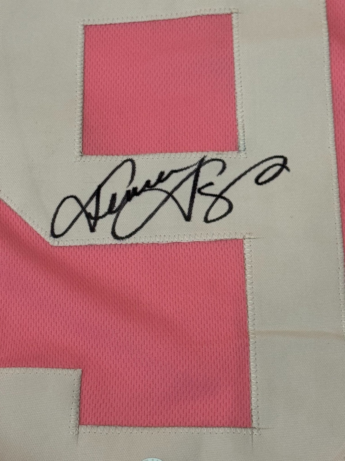 Jenna Jameson Adult Video Star signed Pink #69 jersey autographed Beckett COA