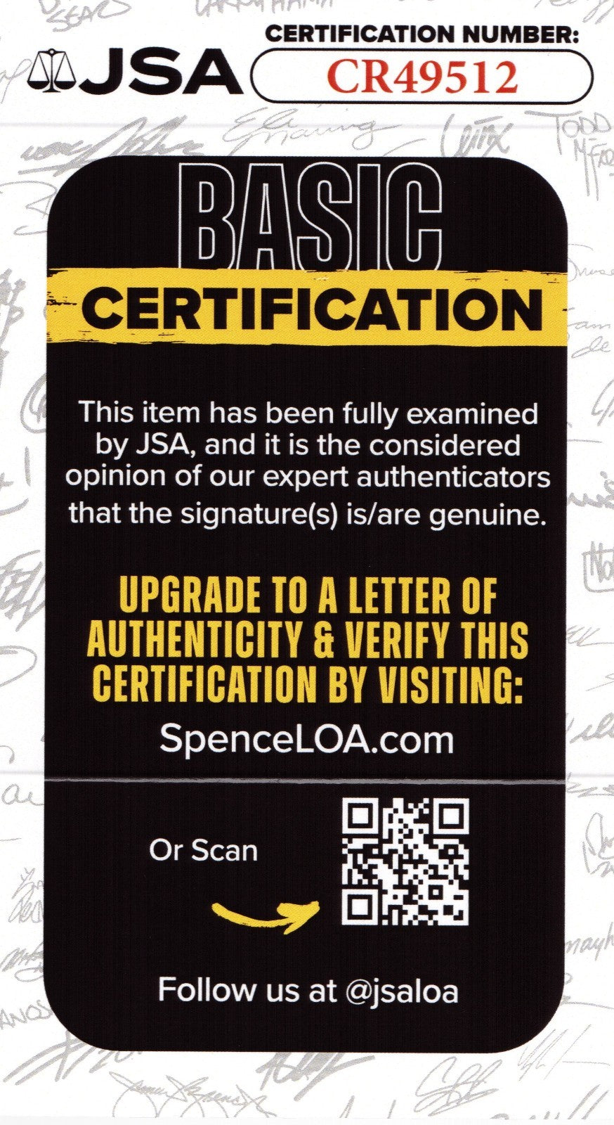 Courtney Vandersloot signed Chicago Sky 8x10 photo autographed JSA