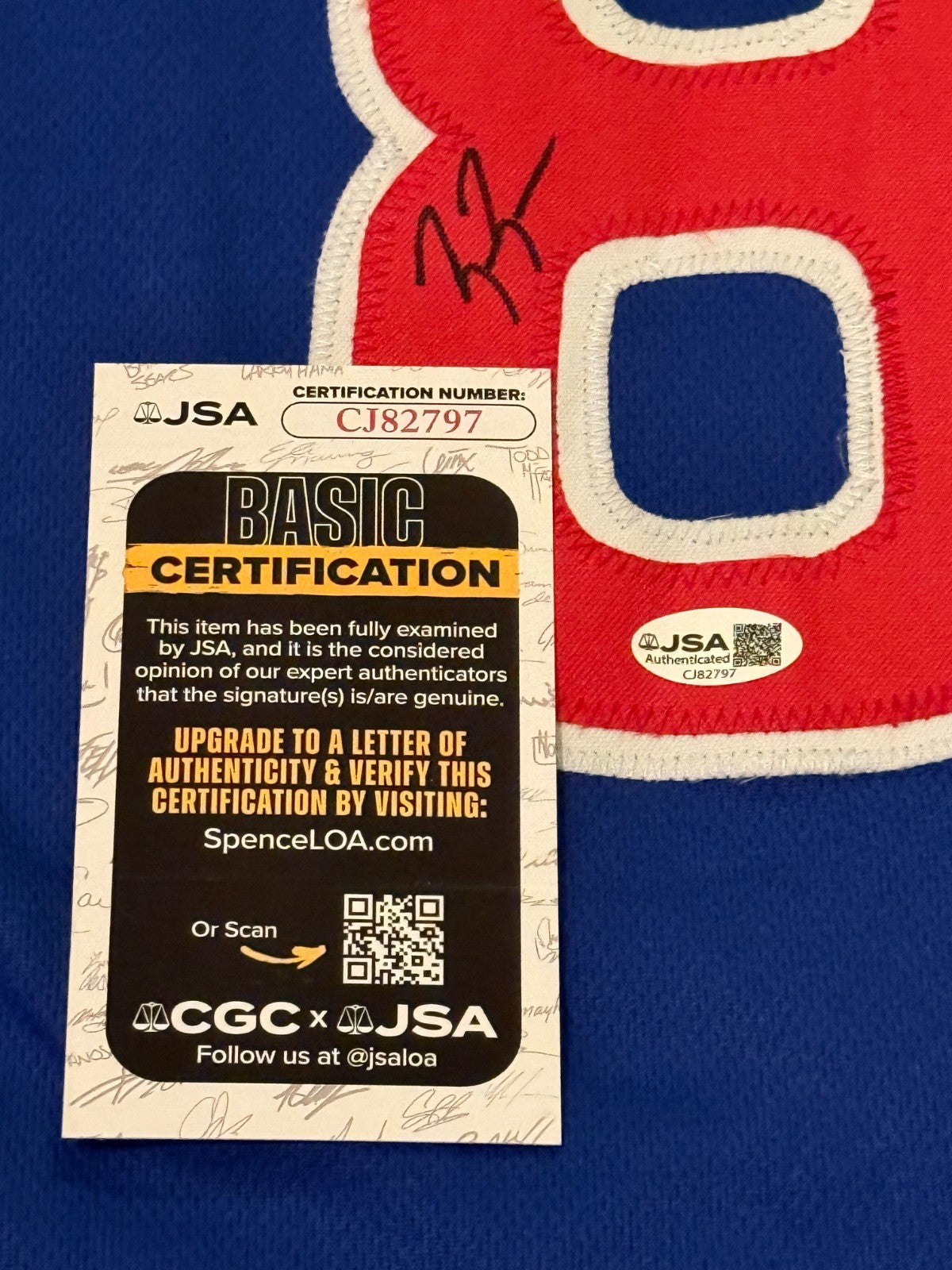 Ben Brown Chicago Cubs signed Custom jersey autographed JSA