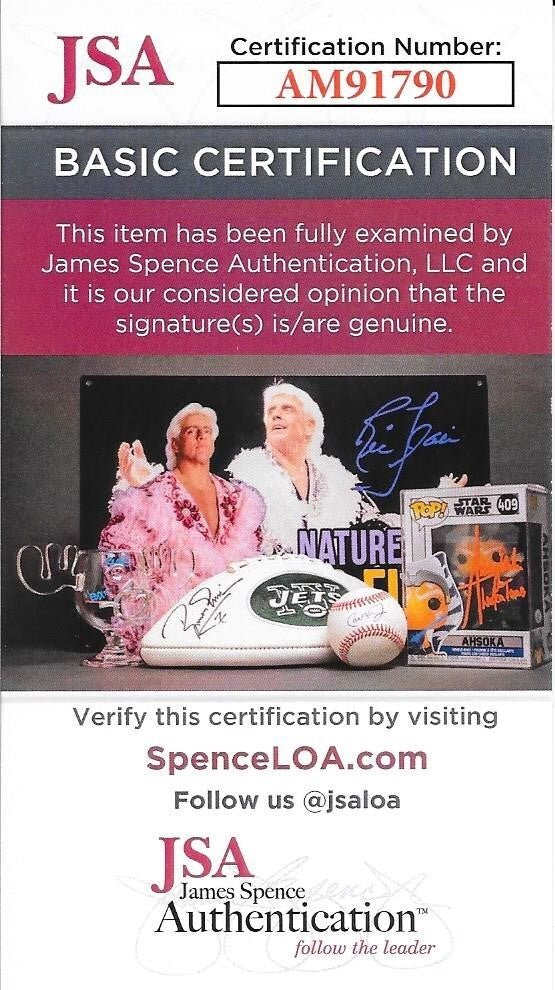 Arye Gross signed Castle 8x10 photo autographed M.E. Sidney Perlmutter #4 JSA