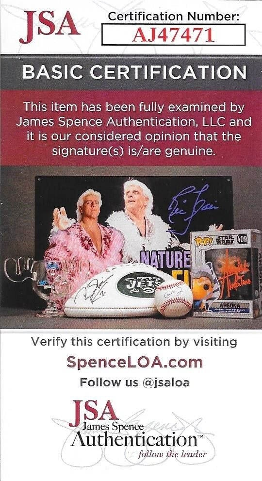 Gabe Saporta Cobra Starship signed 8x10 photo autographed 2 JSA COA