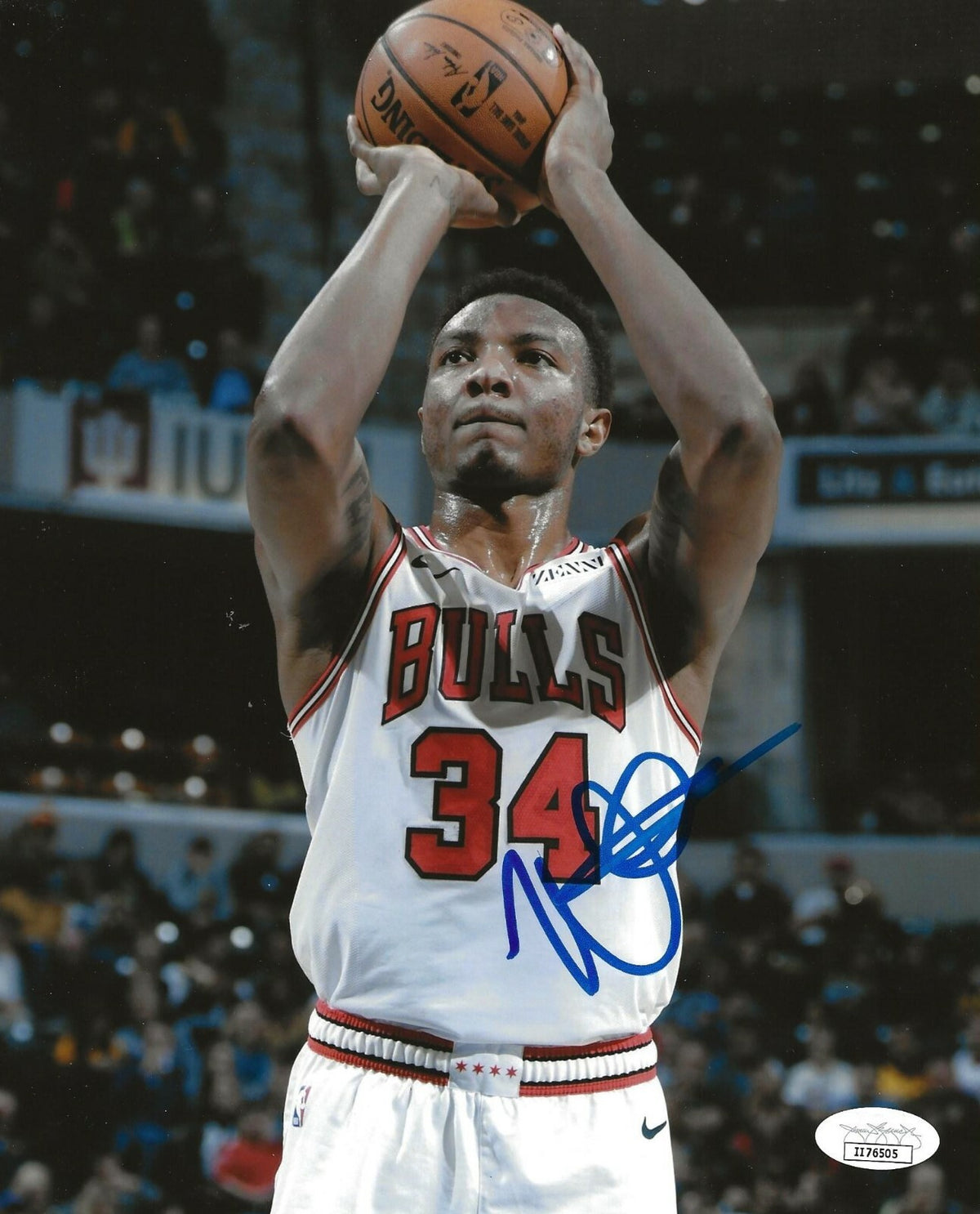 Wendell Carter Jr. signed Chicago Bulls 8x10 photo autographed JSA 5