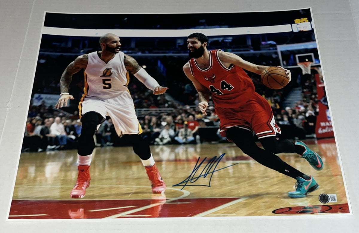 Nikola Mirotic signed Chicago Bulls 16x20 photo autographed Beckett COA