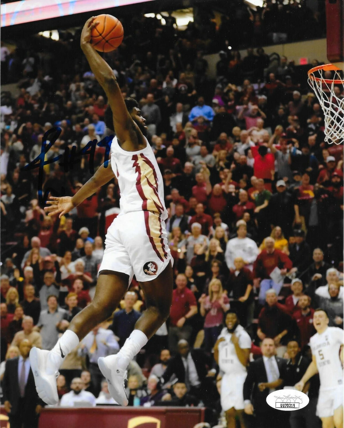 Patrick Williams Chicago Bulls signed Florida State Seminoles 8x10 photo JSA