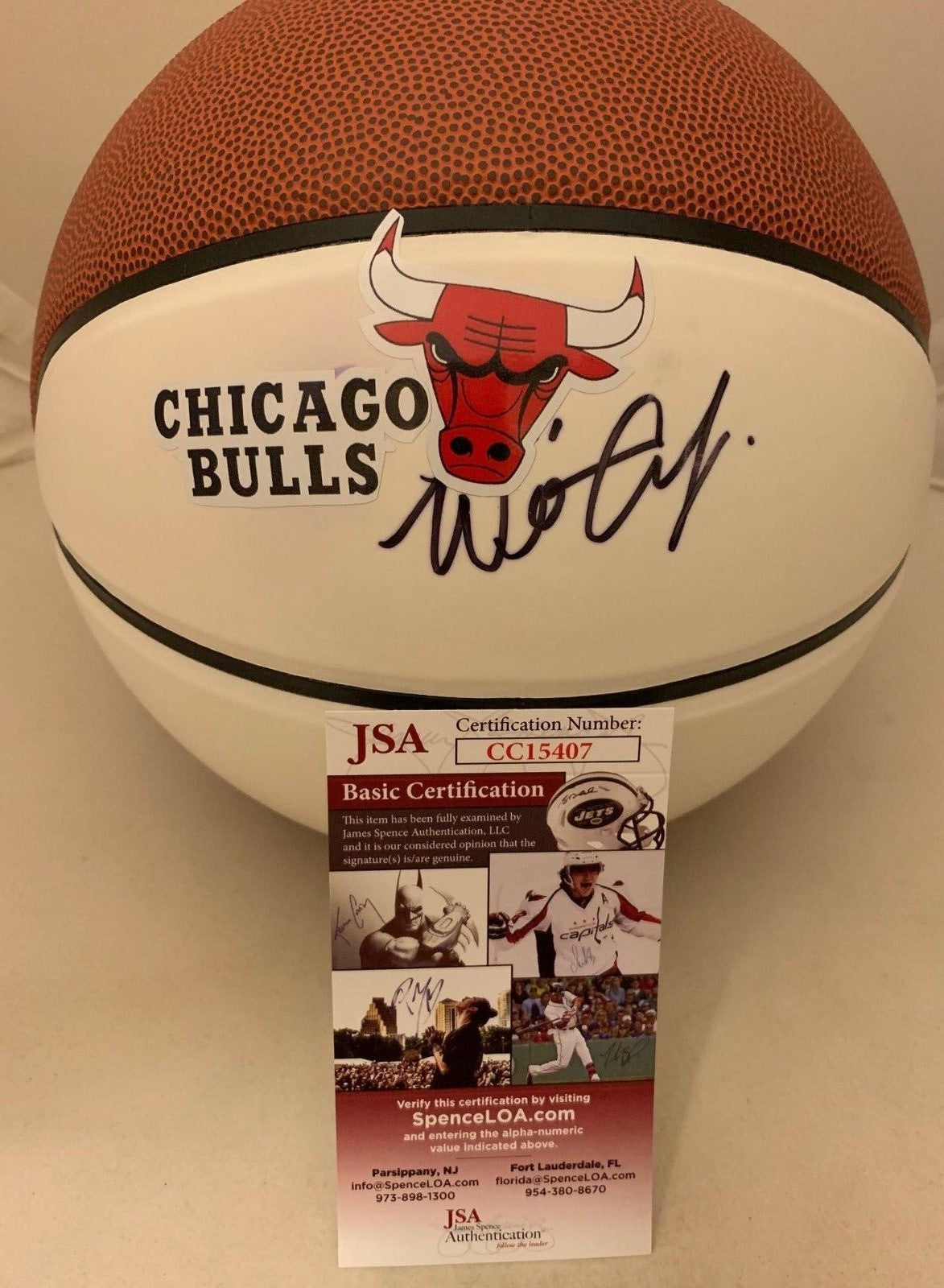 Wendell Carter Jr. signed Chicago Bulls F/S Full Size Logo Basketball Ball JSA  
